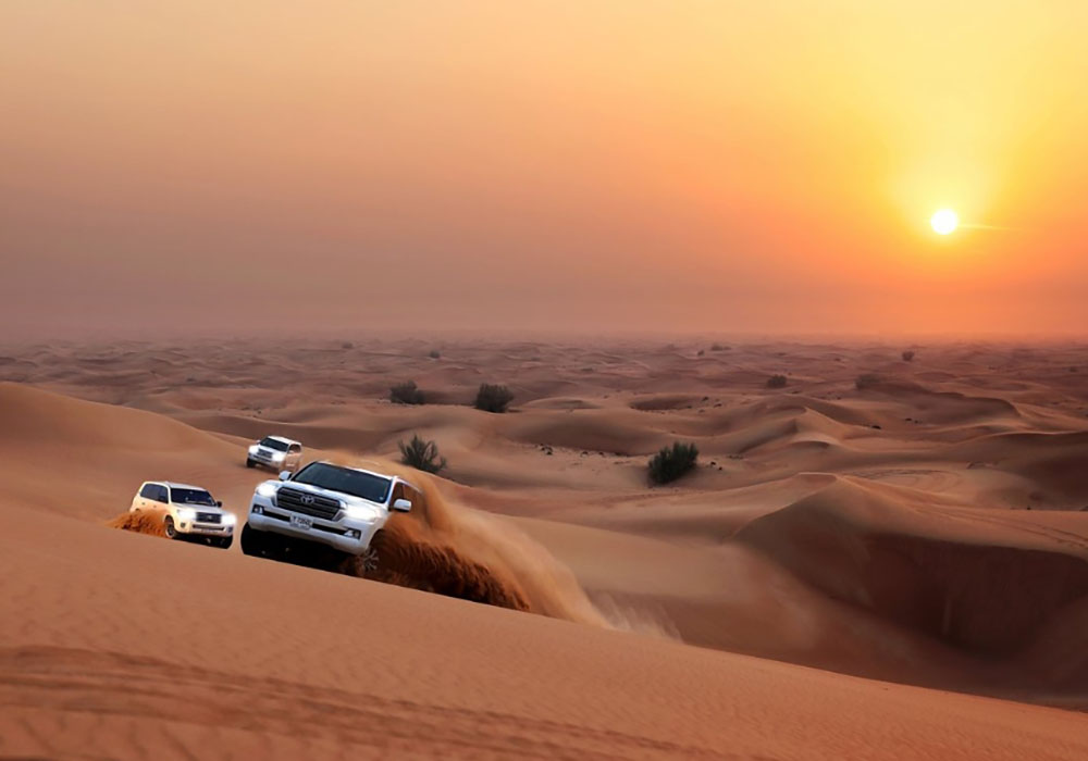 Evening Desert Safari