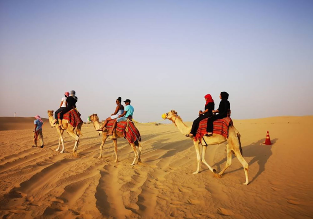 Authentic Camel Ride Experience
