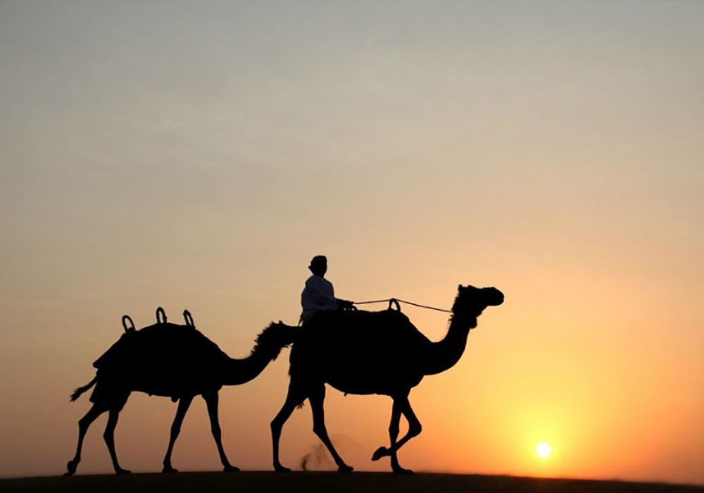 Camel Ride: Traditional Desert Experience